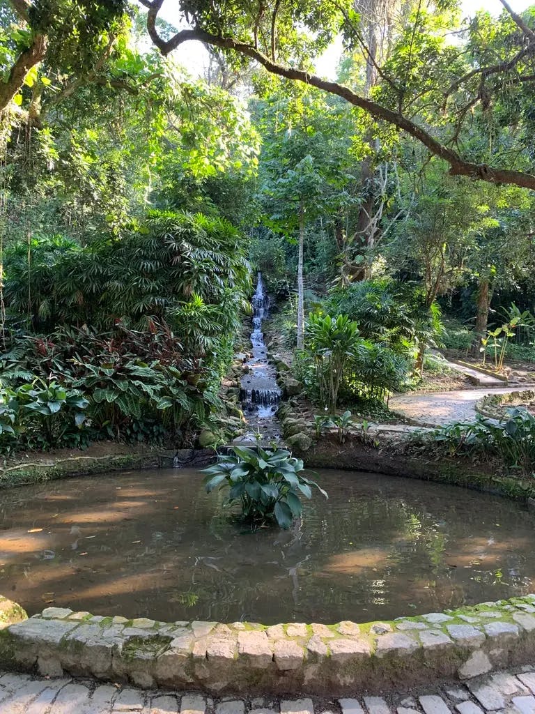 A fountain in Jardim Botânico/Botanical Garden