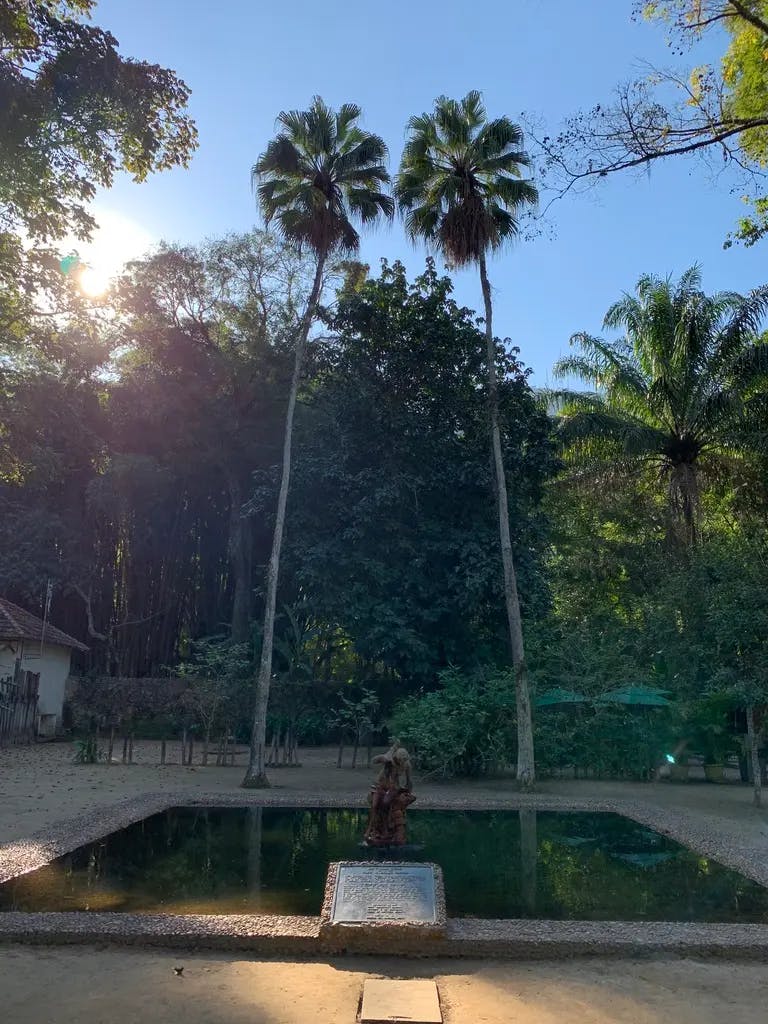 Fountain backed by tall palm trees in Jardim Botanico