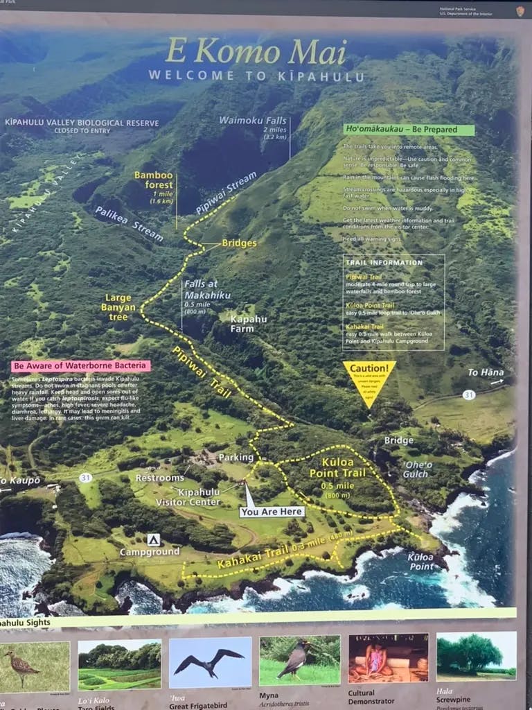 Kipahulu - Inside Haleakala National Park. At the end of the Road to Hana. 