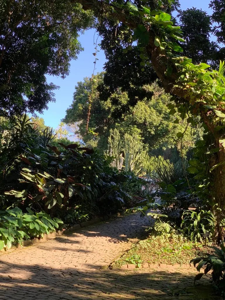 Cobblestone nature path in Jardim Botânico/Botanical Garden